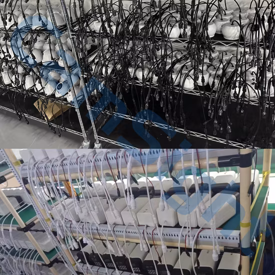 Camsight 4K 8MP 5MP 4MP 2MP Colorvu 풀 컬러 IP 카메라 스마트 인간 감지 총알 IP 카메라 Poe CCTV 네트워크 보안 IP 카메라 OEM 공급 업체